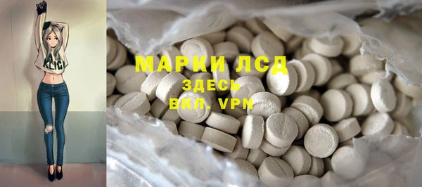 прущие грибы Алексеевка