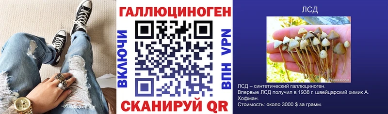 mega сайт  Сунжа  Псилоцибиновые грибы Psilocybe 
