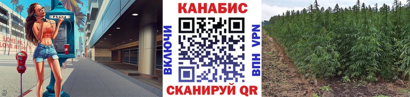 купить наркоту Сунжа МАРИХУАНА ГИДРОПОН